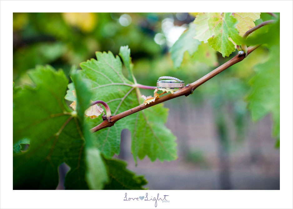 Depot Hotel Sonoma Wedding