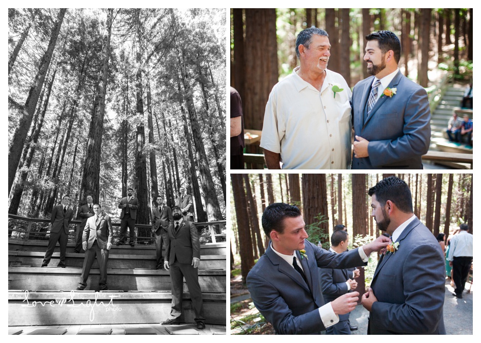Berkeley Botanical Gardens Wedding