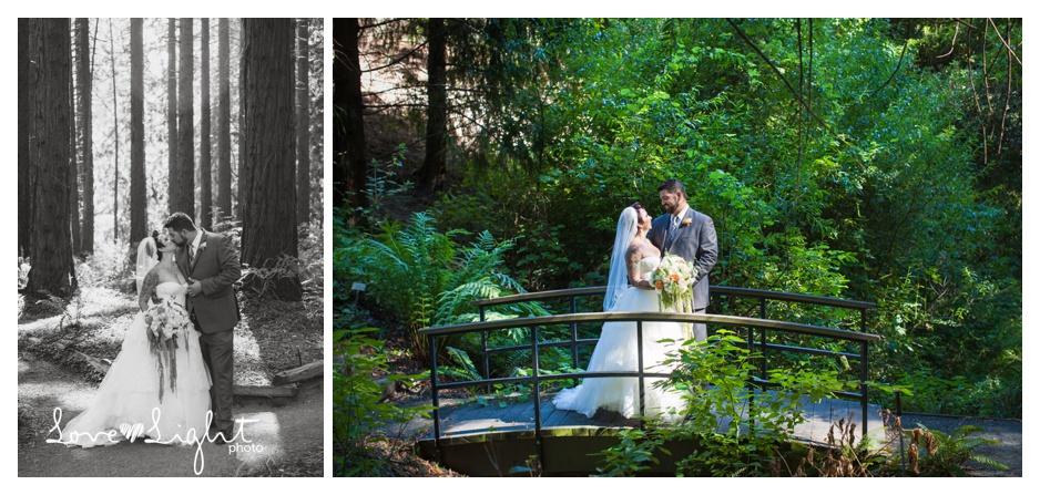 Berkeley Botanical Gardens Wedding