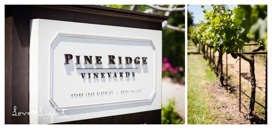Pineridge winery napa proposal